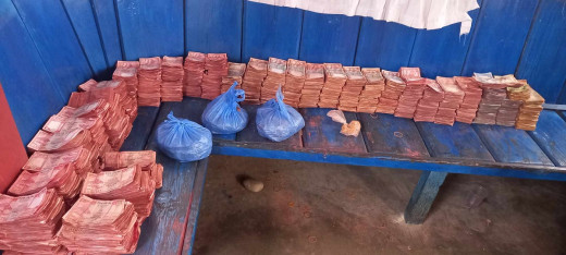 जनैपूर्णिमा पर्वमा गोसाइँकुण्डमा तीन लाख भेटी सङ्कलन